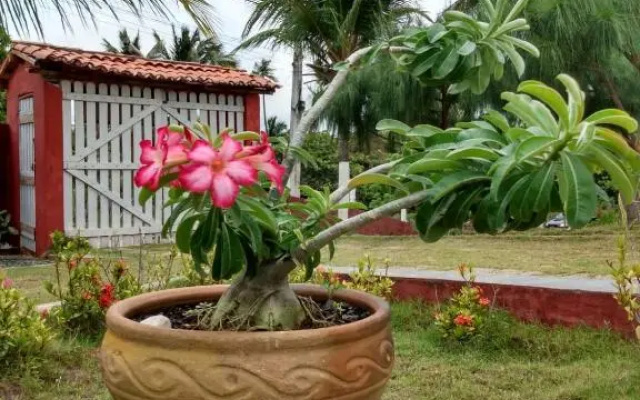 Casa Vermelha Moitas-Icaraizinho de Amontada
