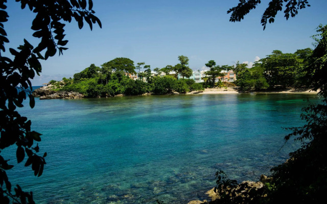 Seas the Day Sanctuary