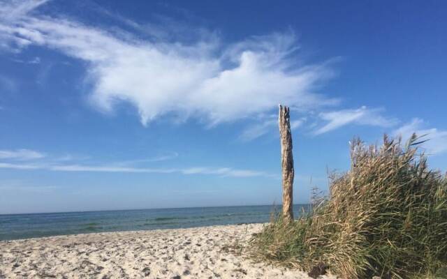 Baltic Sea Dromelhus