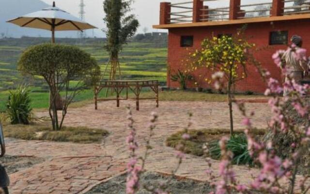 The Little House In The Ricefields