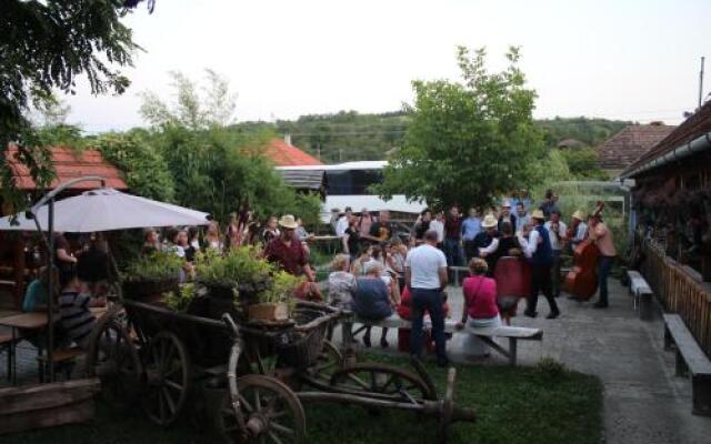 Csipkeszeg Bed & Breakfast Sic / Szék Romania