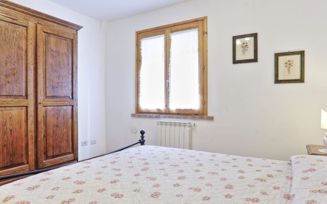 Papavero Sughera in Sughera