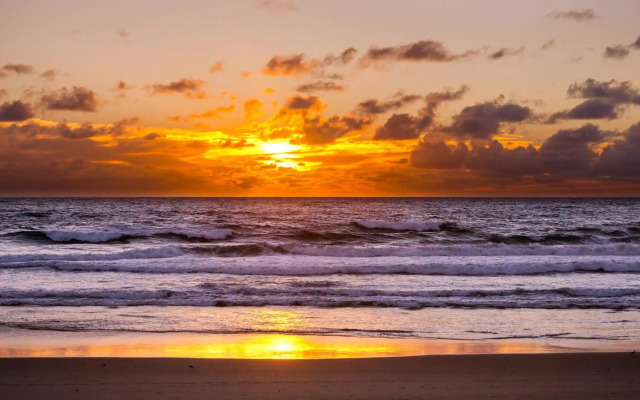 Kirra Surf Apartments