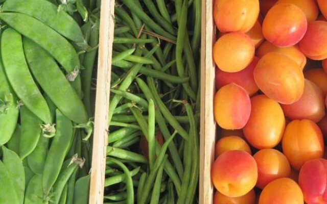 Logis Le Relais Du Mont Ventoux