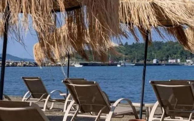 Deni̇z Kizi