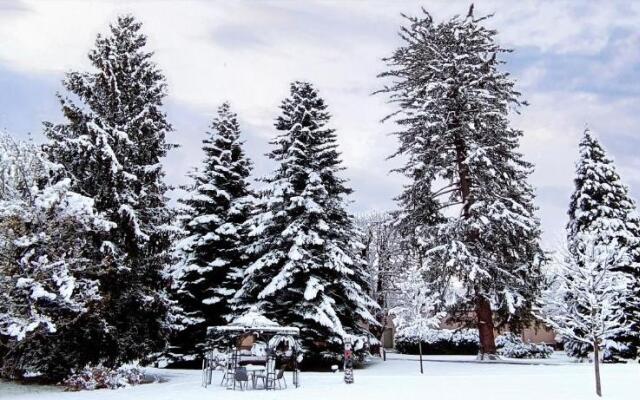 Johannes-Schloessl Der Pallottiner