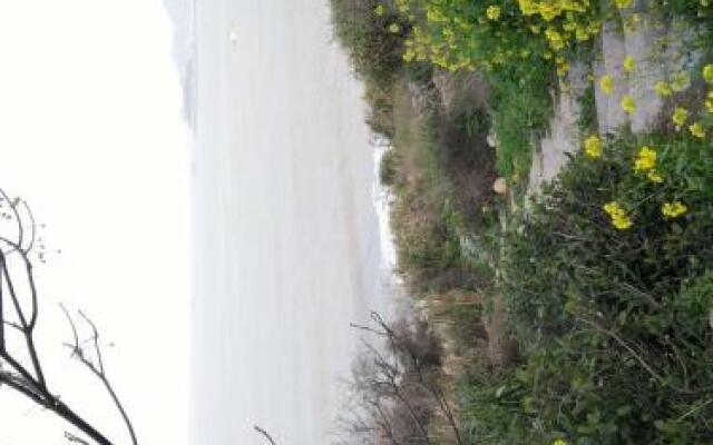 Nice Suite With Seaview 209 Guest House