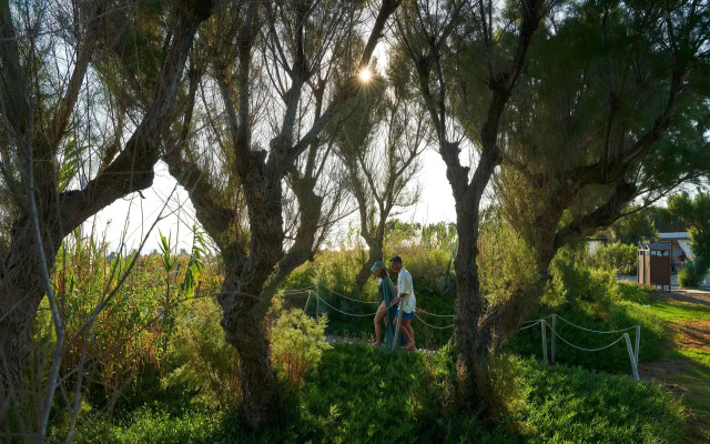 Agapi Beach Resort - Premium All Inclusive