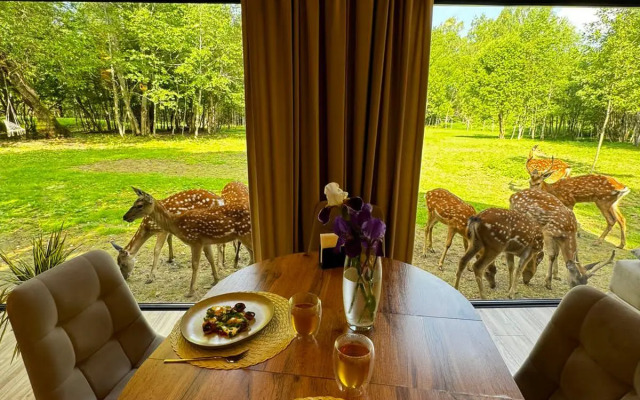 Домики Бэмби Ленд