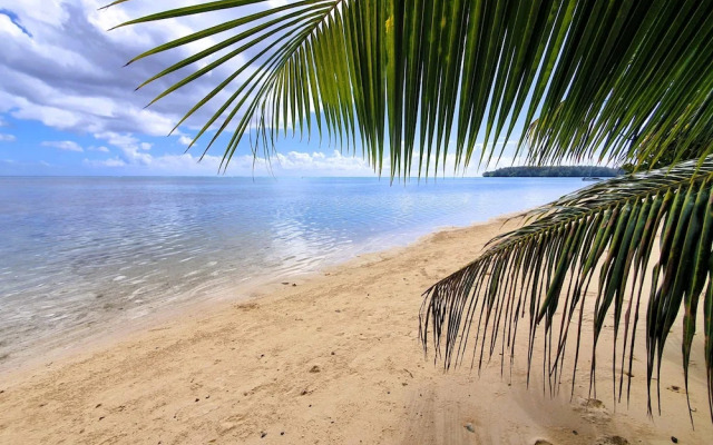 Moorea - Tropical Bungalow