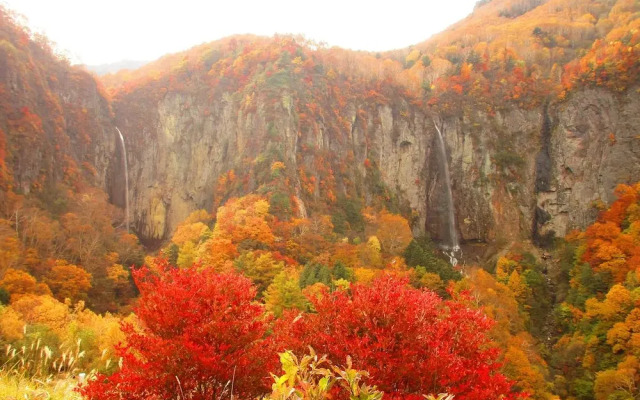 Okuyama Pension Radish