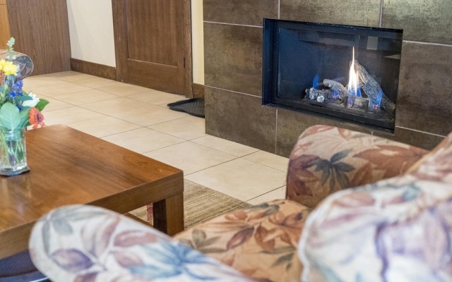 Scandinavian Lodge 03 2 Bedroom Condo by RedAwning