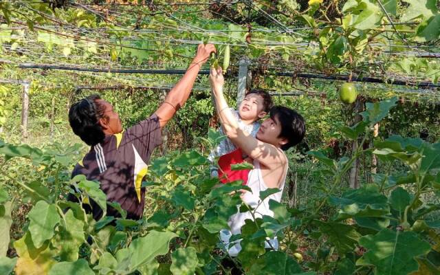 Kongkarn Bed & Farm Stay