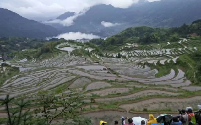 Yunhe Terraced Fields Homestay