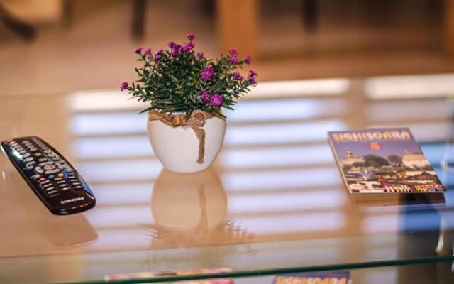 Schäßburg apartment #1