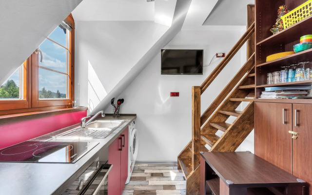 Apartmán Rezidence Rokytnice