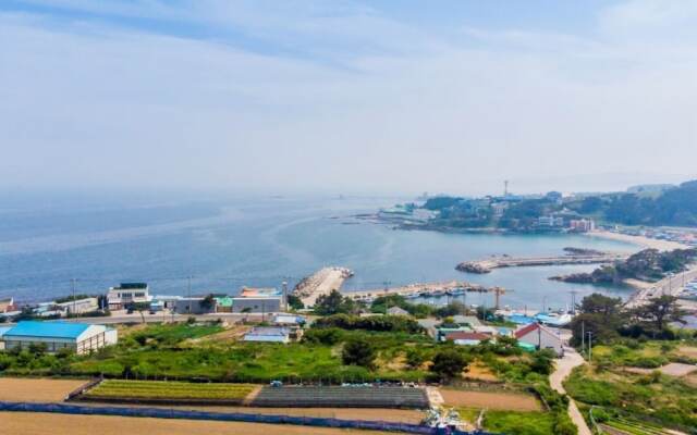 Pohang Sea and Tree Pension