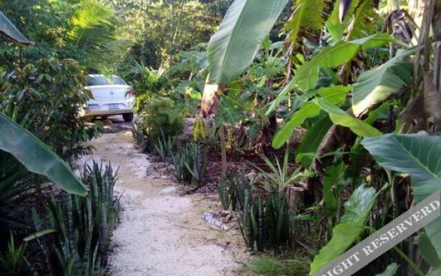 Quintana Roo National Park Campground & Hiking