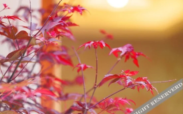 Zen Holiday Inn (Lijiang Ancient City Sifang Street)
