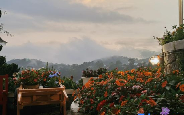 Thi Tran Co Da Lat