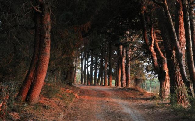 Agriturismo Bosco Pianetti