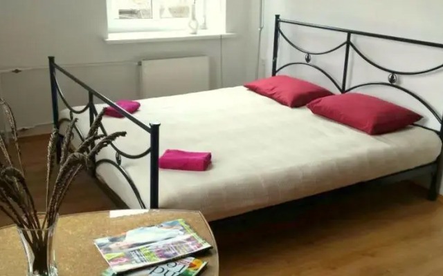Delighful 1 bedroom apartment in Riga center