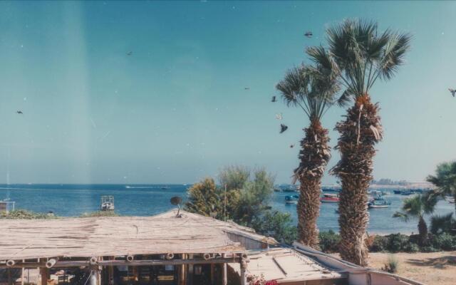 Viajero Paracas Hostel