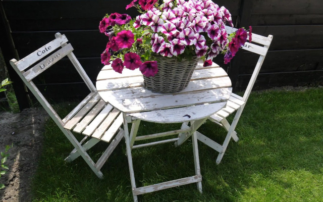 Vakantiehuis Hof Molenzicht