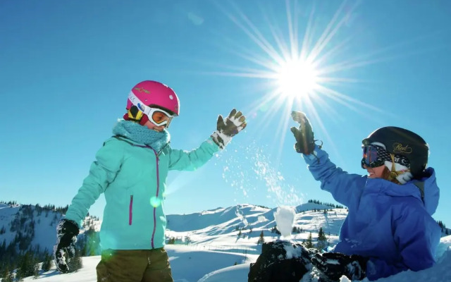 Chalet in Dienten in the Hochkoenig ski Region