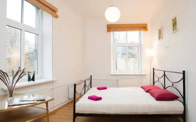 Delighful 1 bedroom apartment in Riga center