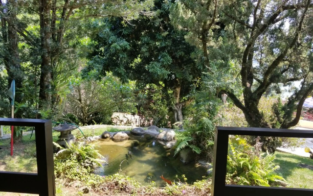 Vista paradisiaca