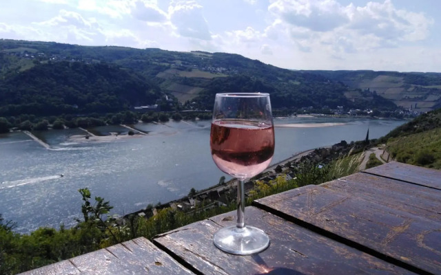 Rheingau und Weltkulturerbe Mittelrheintal erleben - Ferienappartement in Winkel