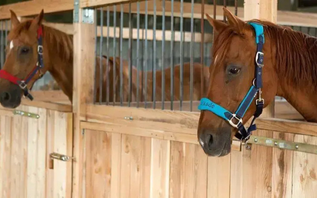 Osada Jeździecka Bata