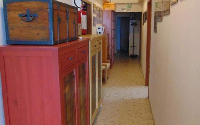 B&B Falcone