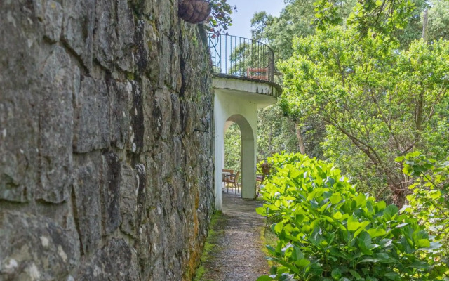 Quinta biológica, com vista, na Serra de Sintra