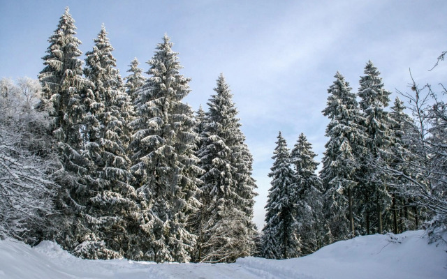 Selke´s exklusives Ferienhaus