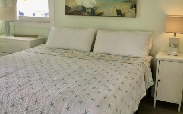 AMI Sand Dollar - 6403 B Holmes