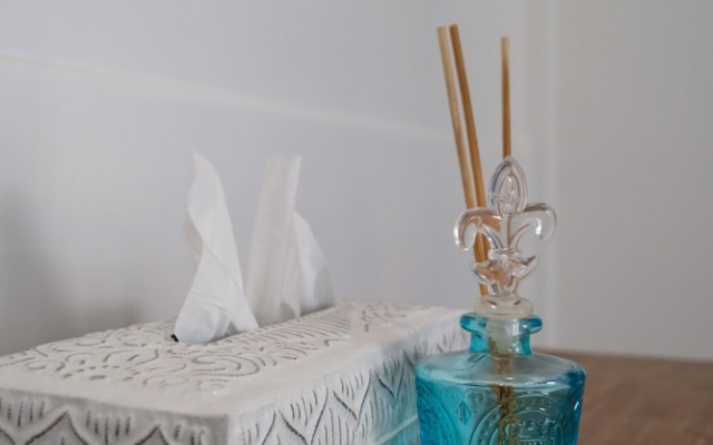 Omah Bleue Villa