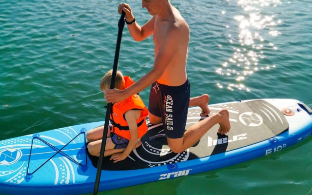 Surfviken