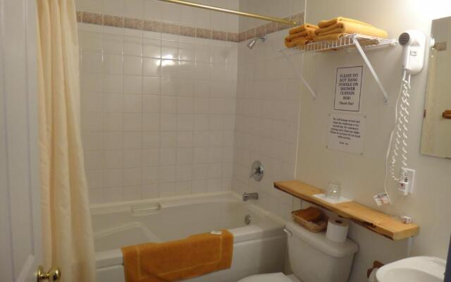 Alpine Meadows Lodge