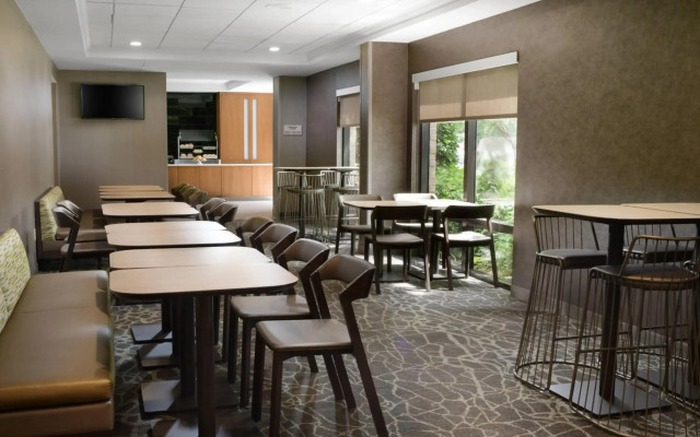 SpringHill Suites by Marriott Dallas Addison/Quorum Drive