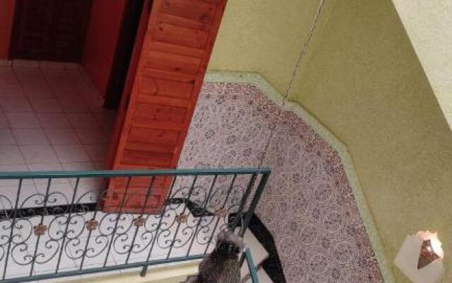 Riad Alaoui 146 with swimming pool and free parking