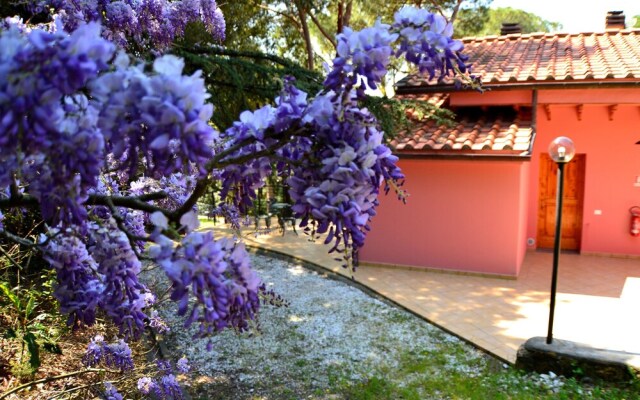 Agriturismo Poggio al Pino