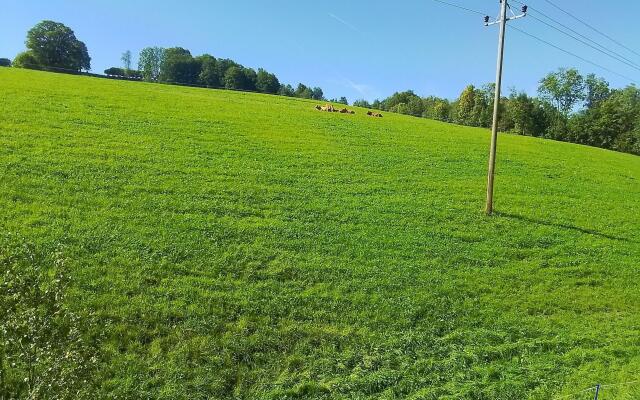 Large apartment in the Salzburgerland with a 25m balcony