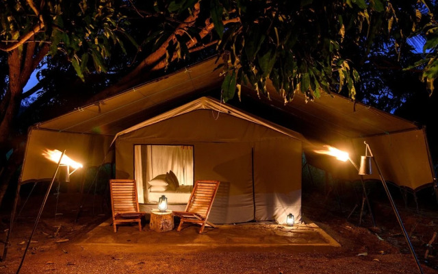 Camp Hasthi