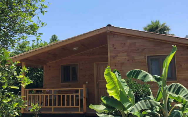 Lemon Garden Lodge
