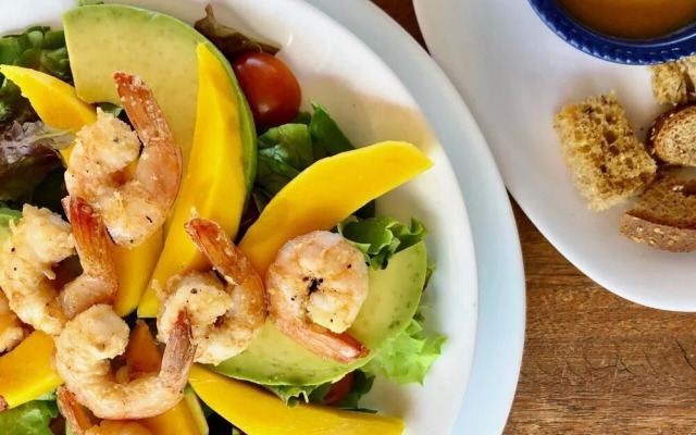 Paradise Suit Sal Premium