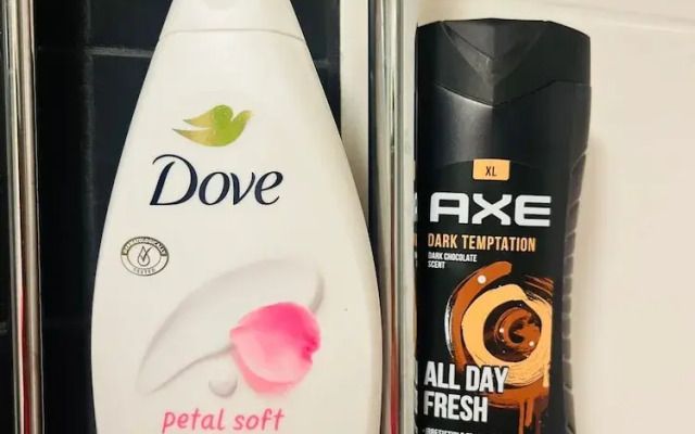 1BR Downtown Apartment with Balcony