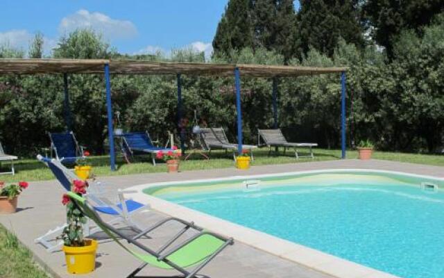 Conte Francesco Ii 233S