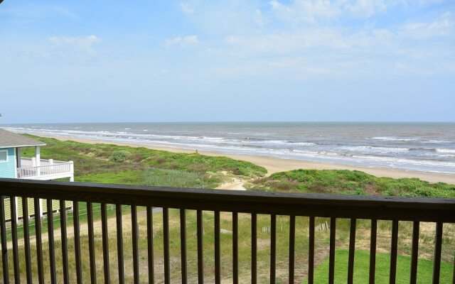 Southern Belle by RedAwning